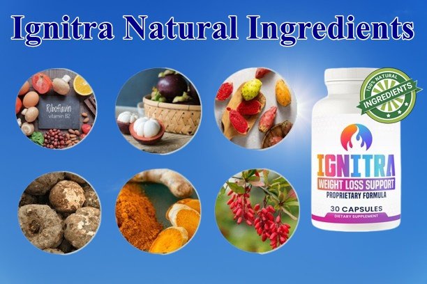 Ignitra Ingredients